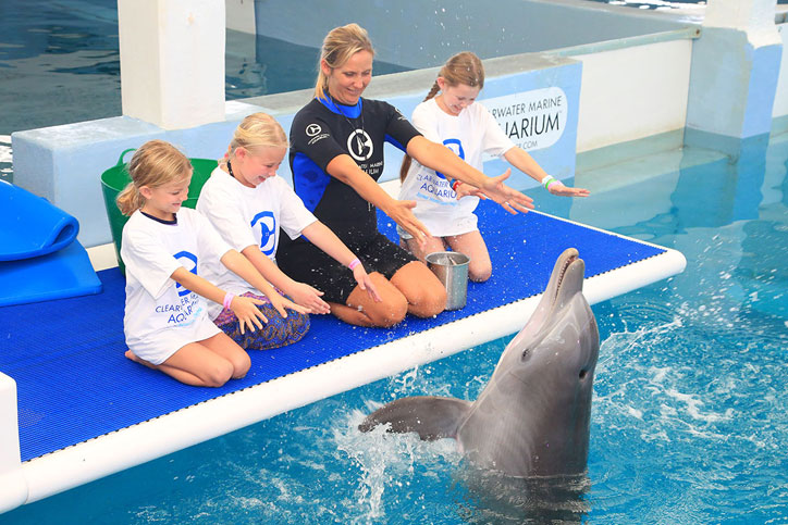 Clearwater Marine Aquarium